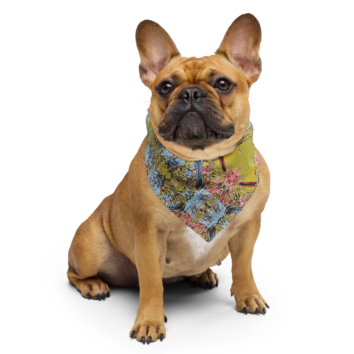 Bandana con stampa all-over ORFINART Aerials