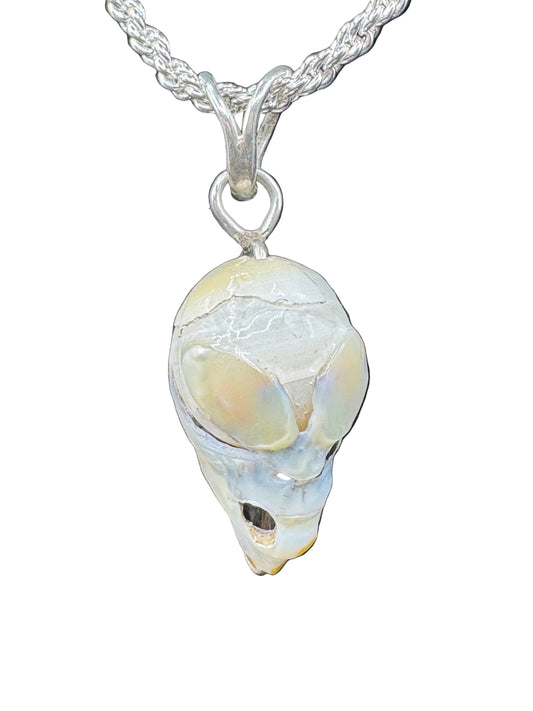Alien Relic — Natural Pearl & Silver Pendant