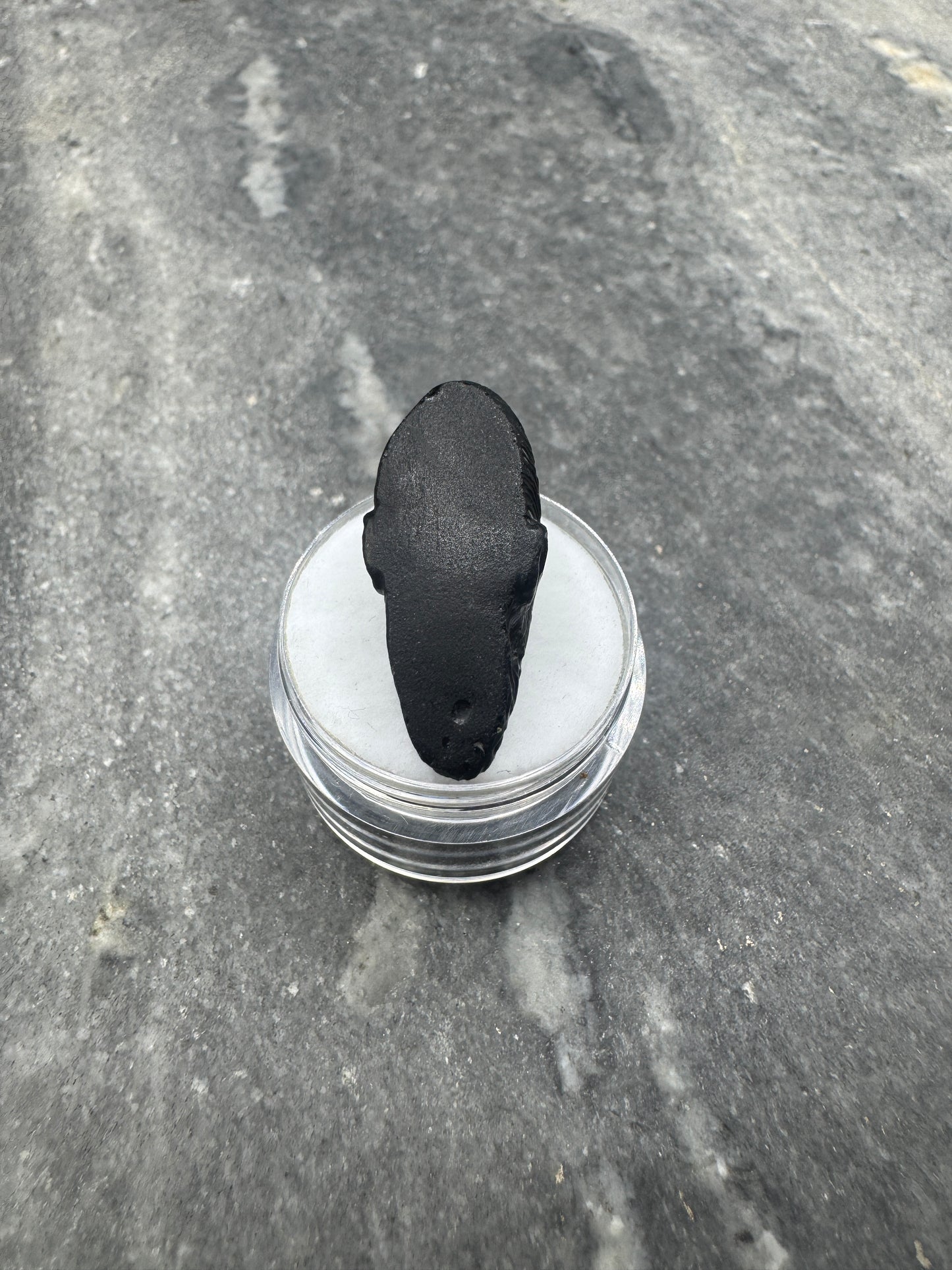 Natural Rizalite 25.59 carats Speaking King (Tektite)