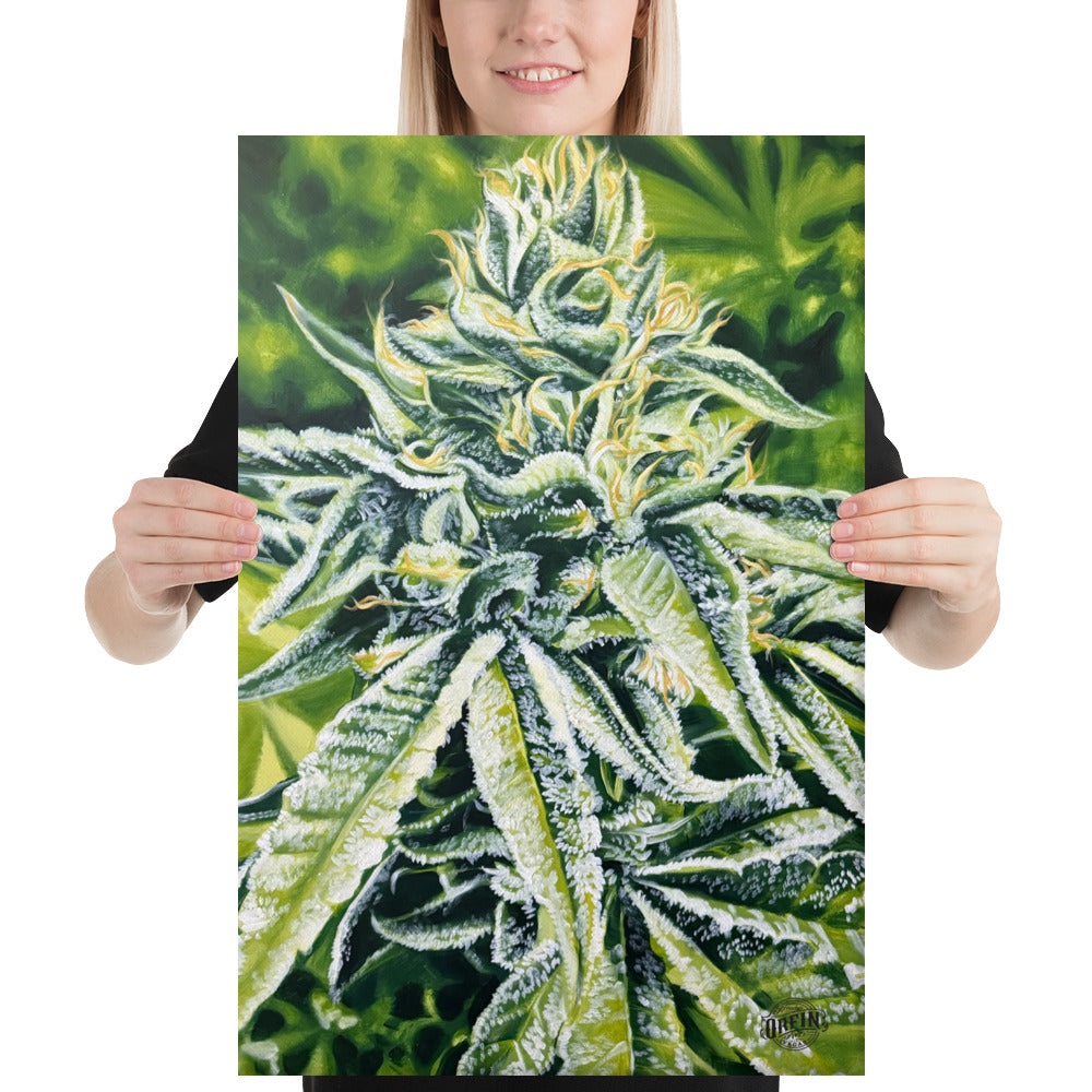 Full Veg