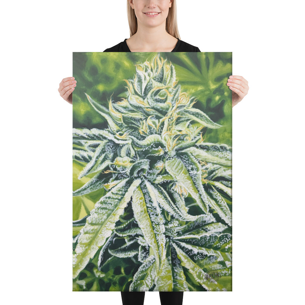 Full Veg