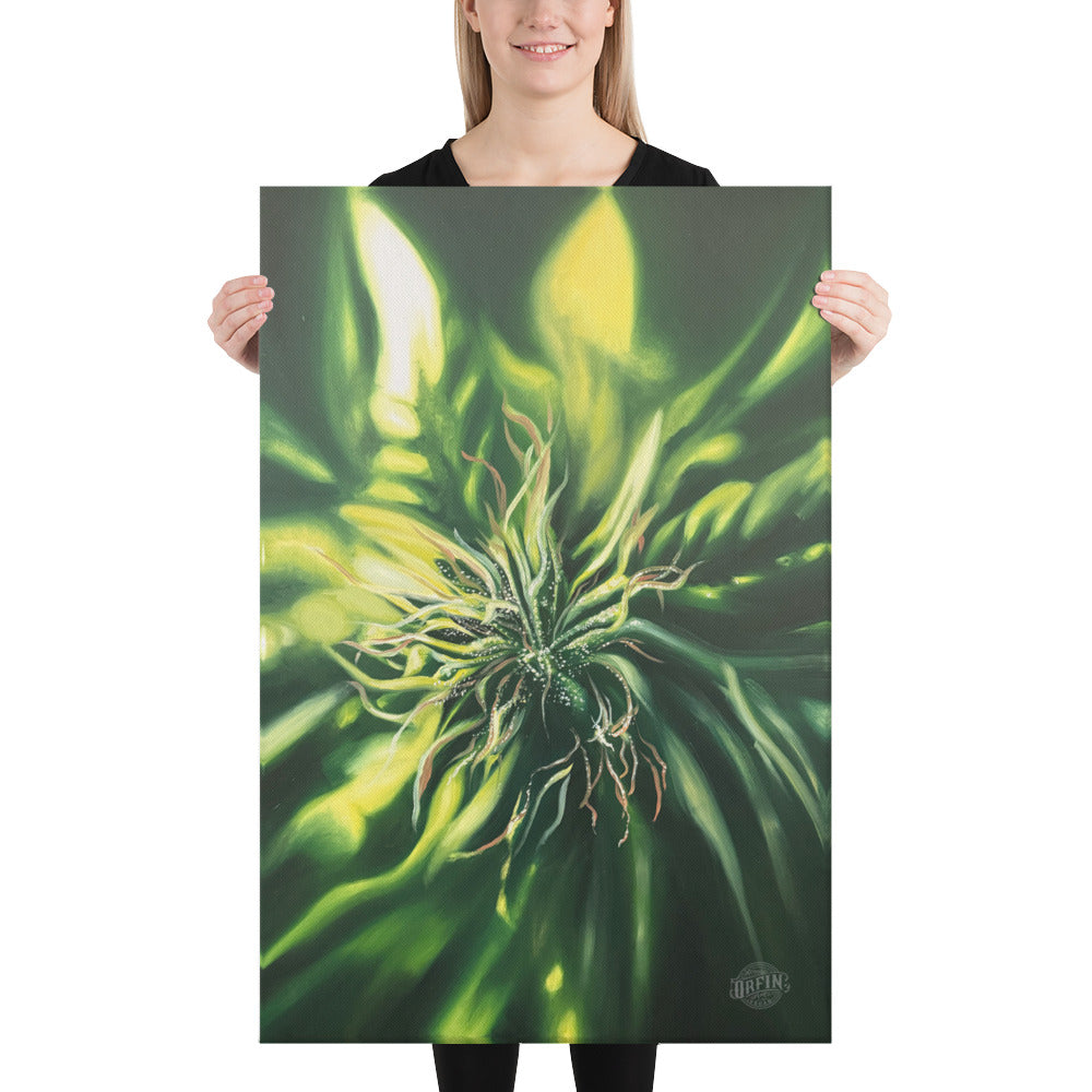 Bud