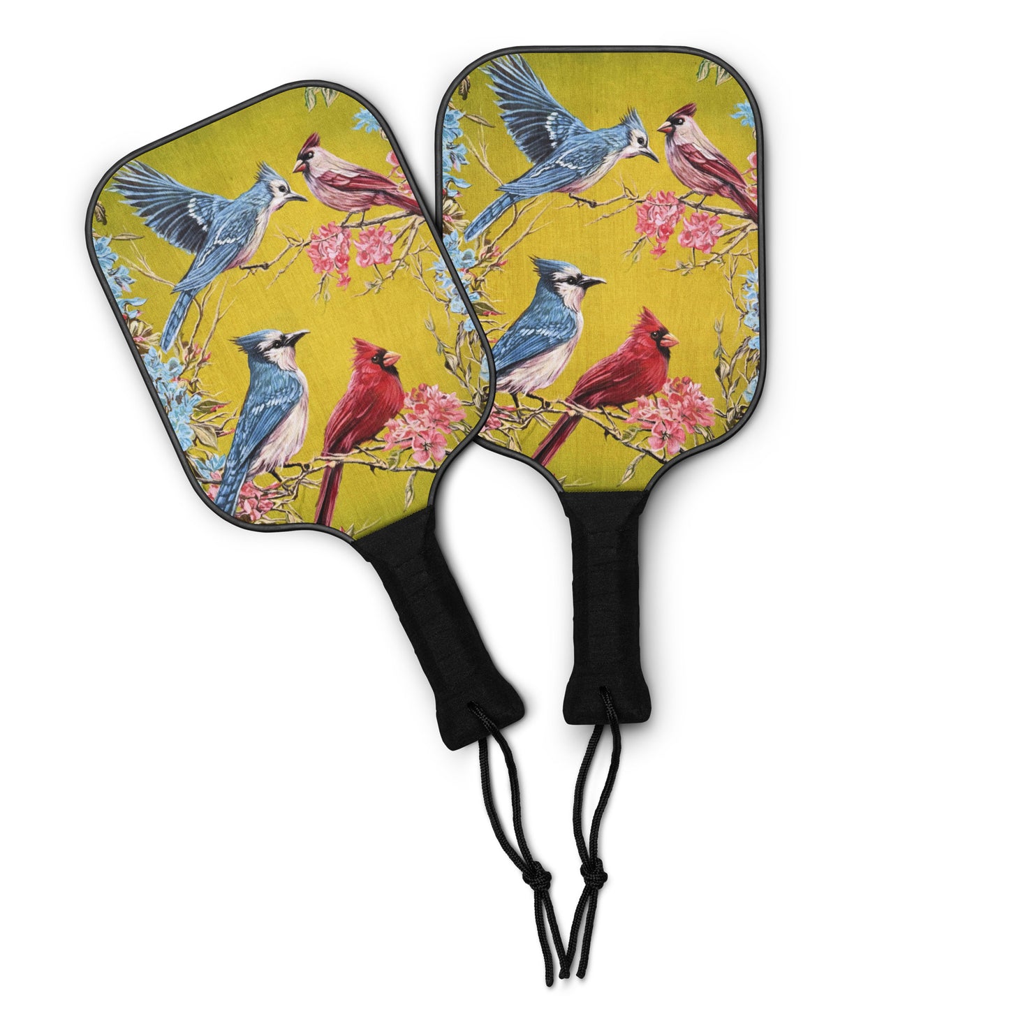 ORFINART Aerials Pickleball paddle set